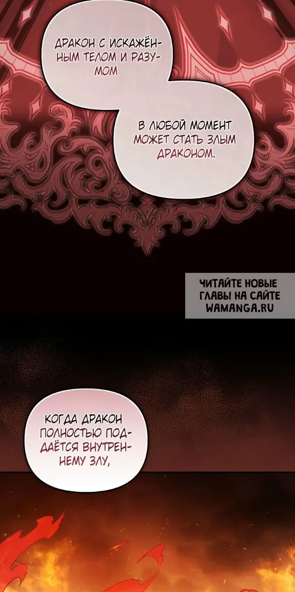 Page 40.000