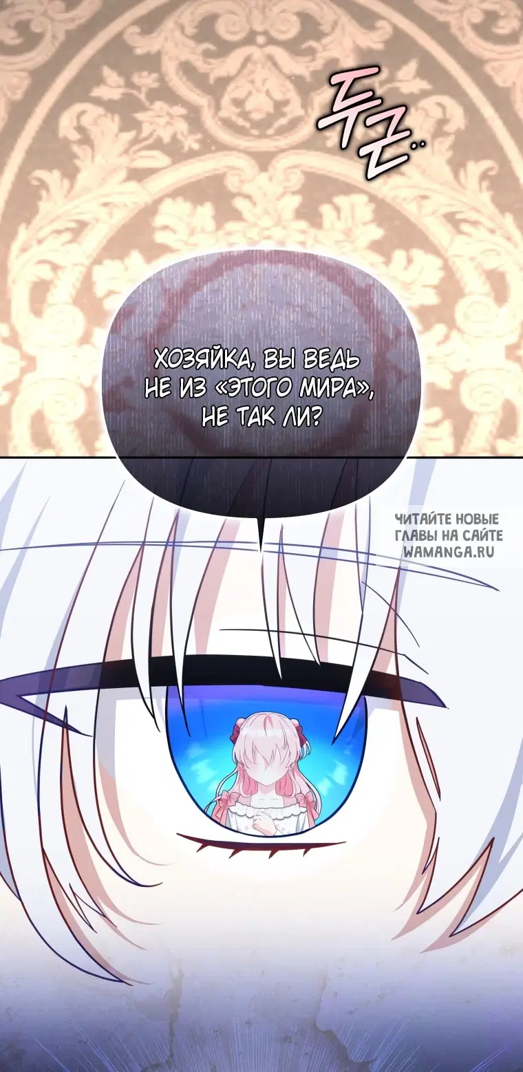 Page 41.000