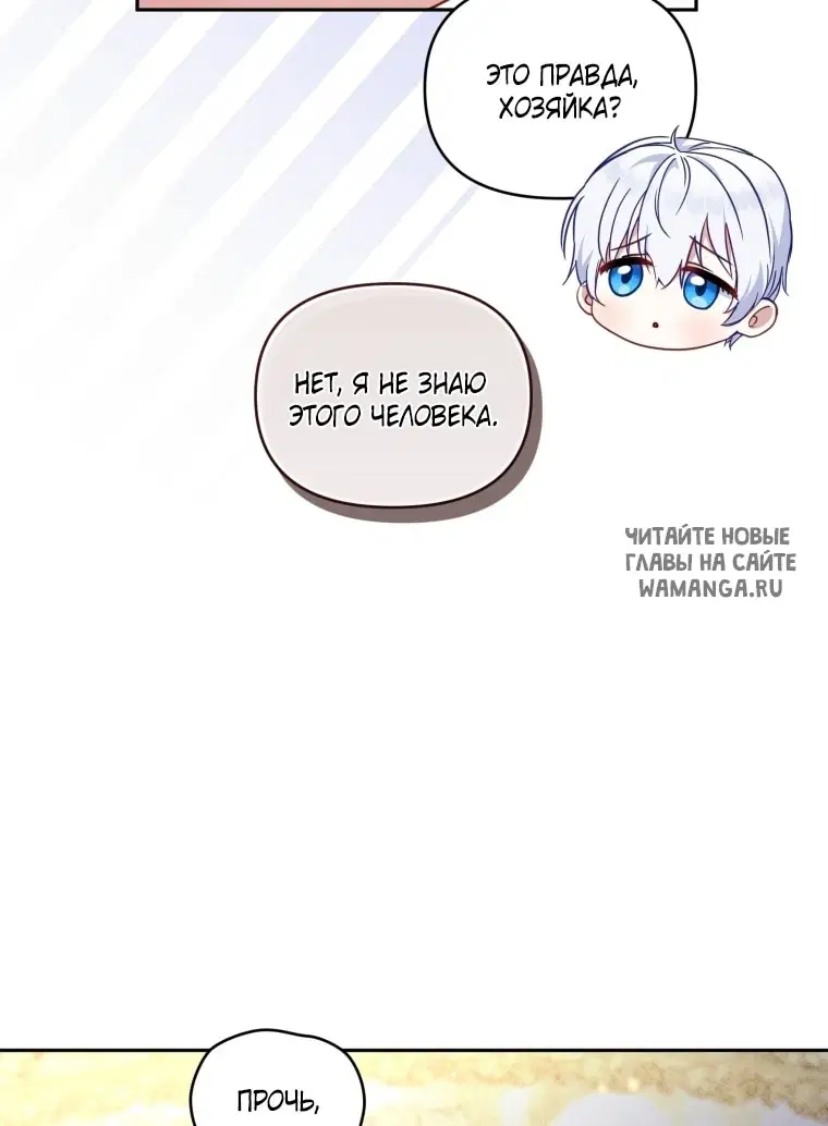 Page 42.000