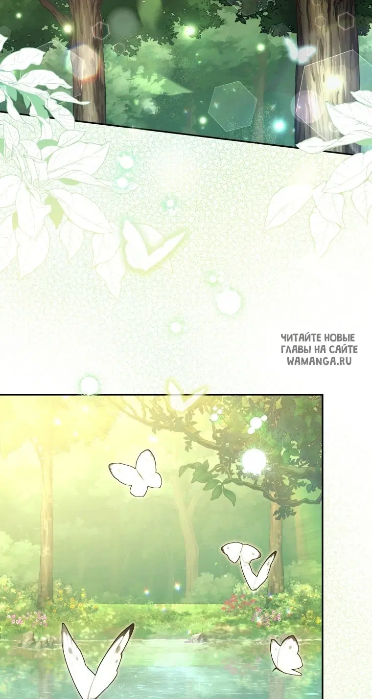 Page 43.000