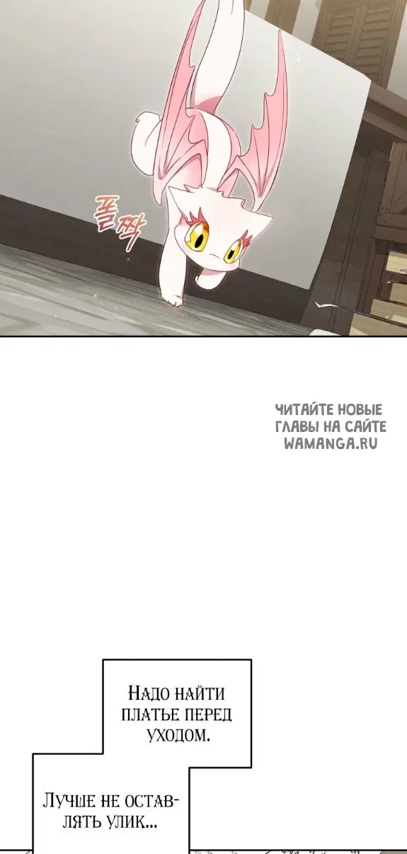 Page 55.000