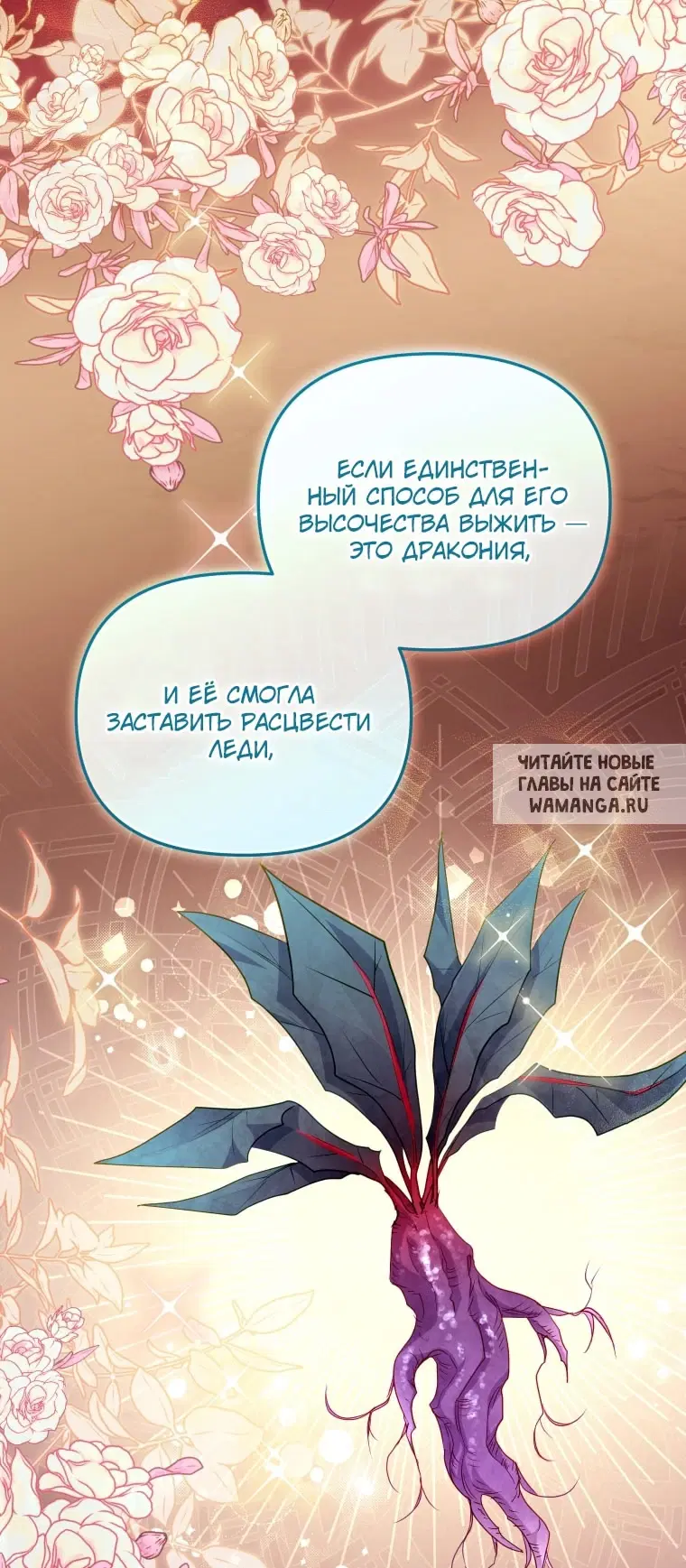 Page 56.000