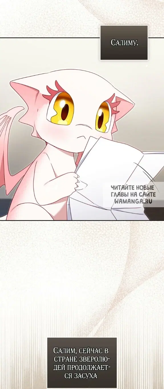 Page 58.000
