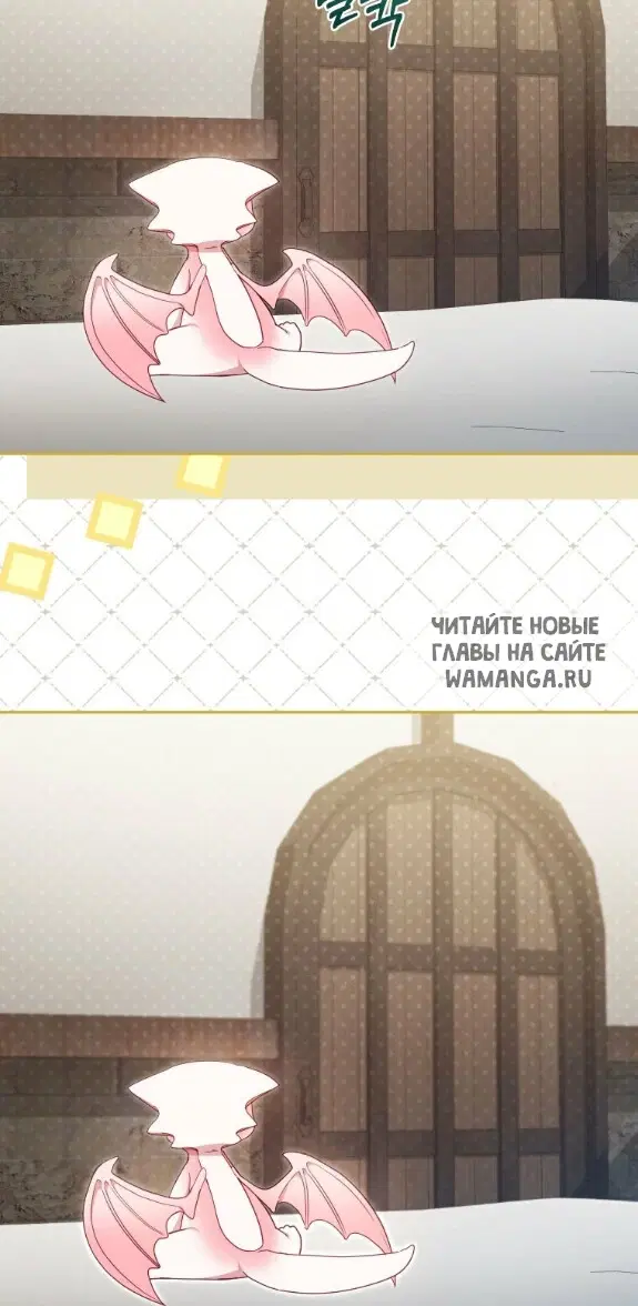 Page 50.000