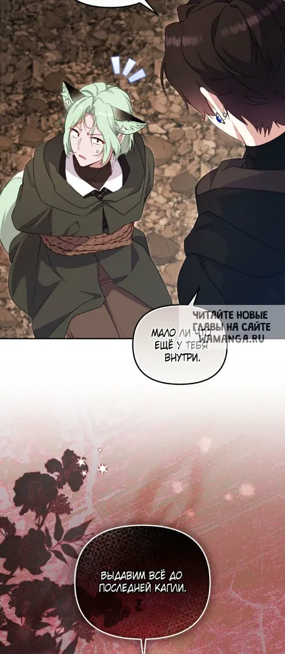 Page 50.000