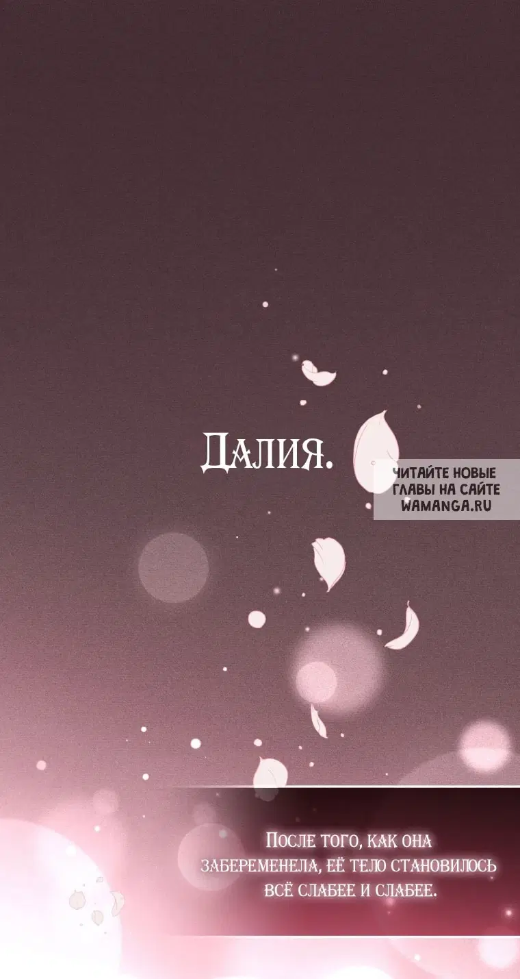 Page 61.000