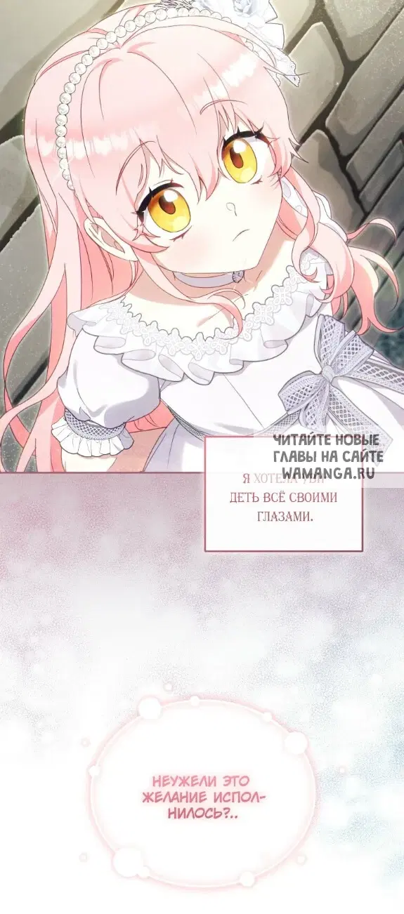 Page 61.000