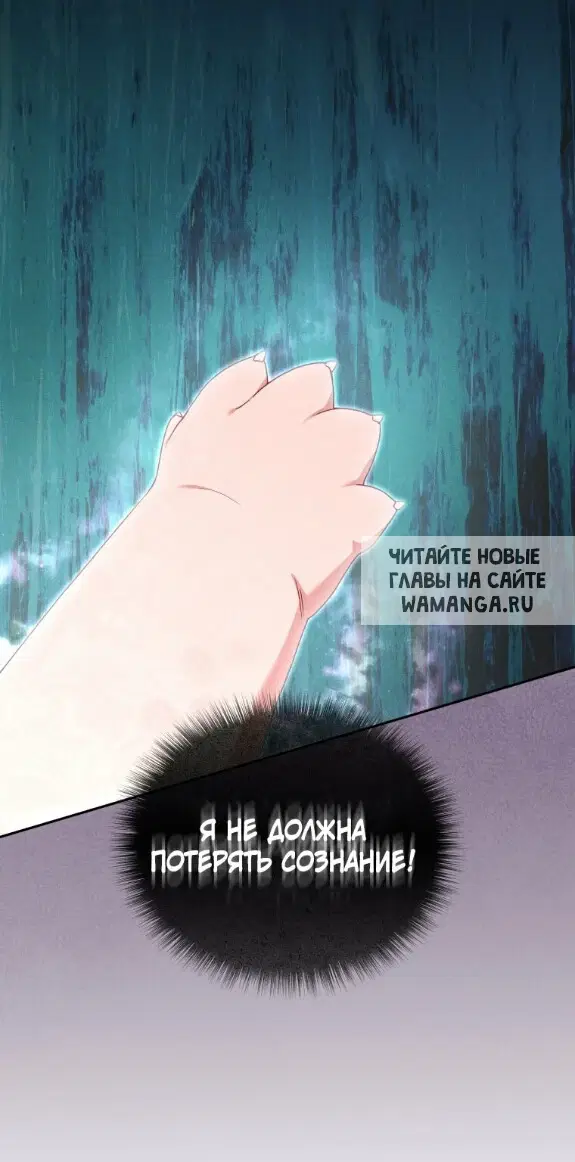 Page 61.000