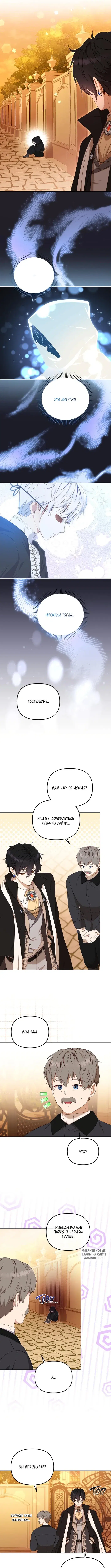 Page 8.000