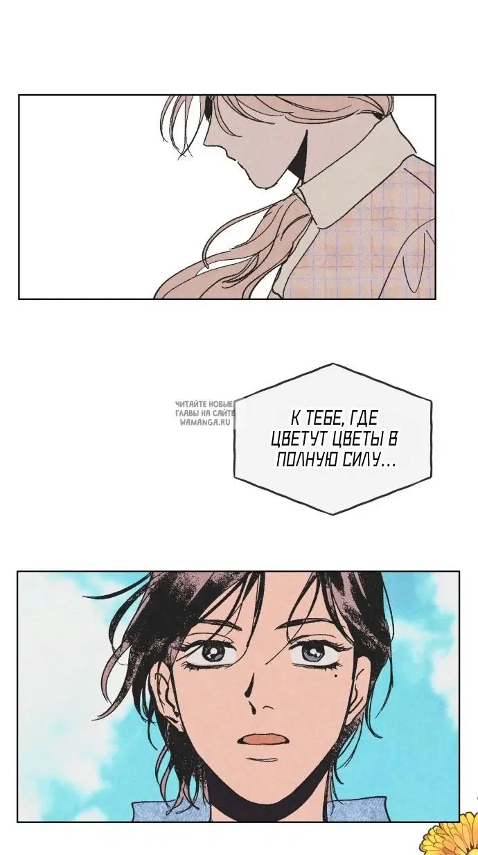 Page 26.000