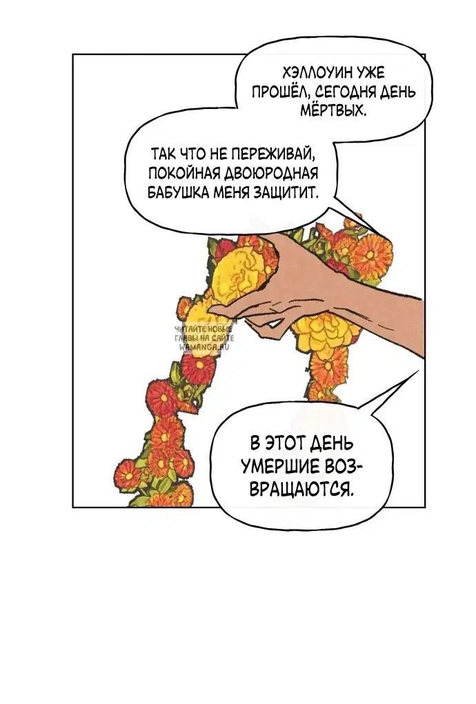 Page 50.000