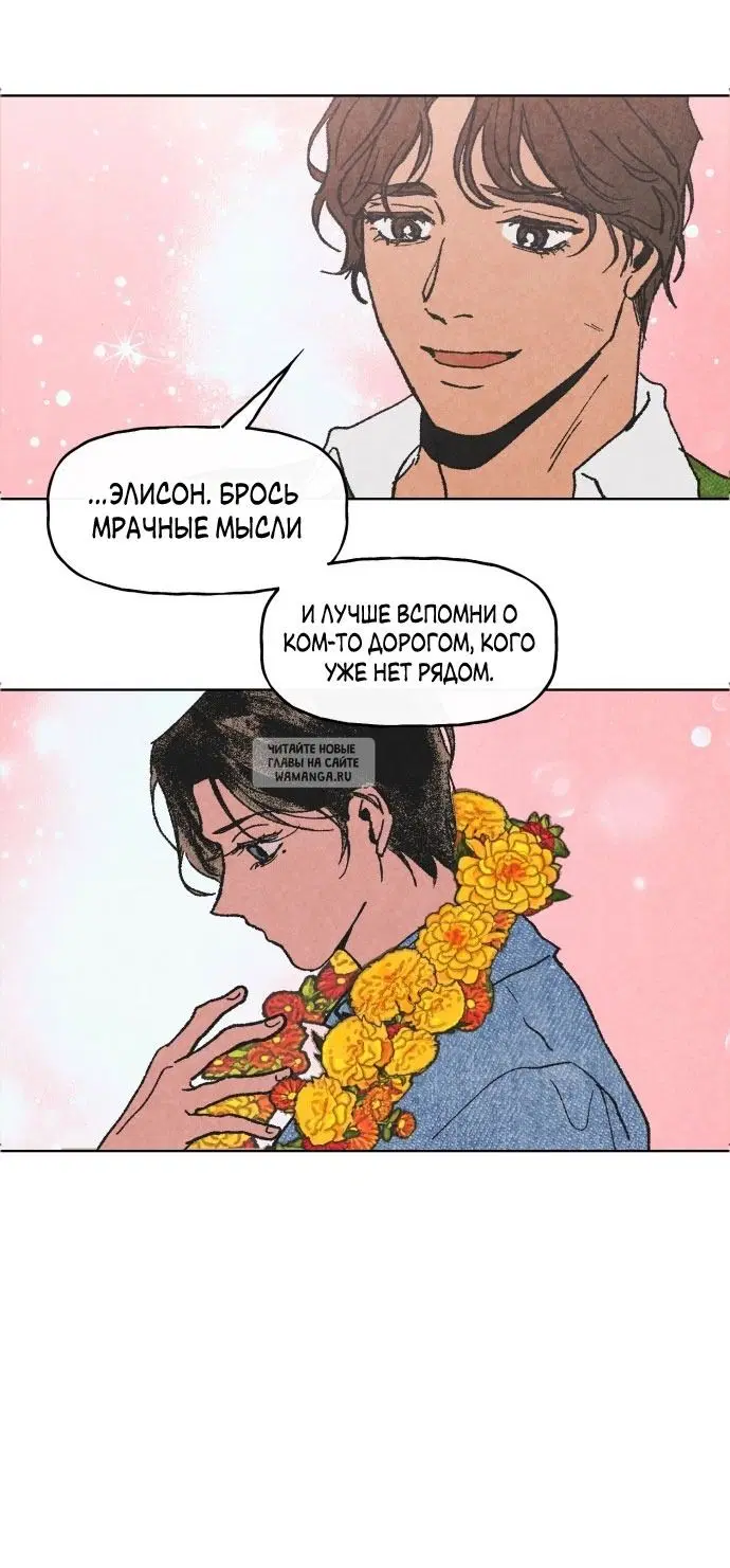 Page 51.000