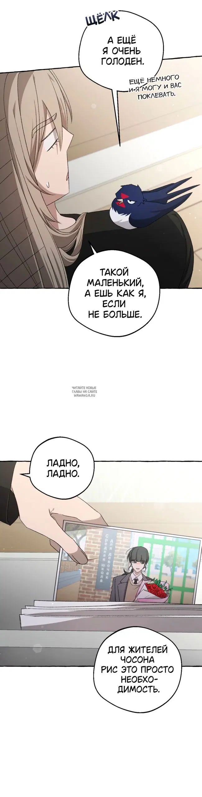 Page 6.000