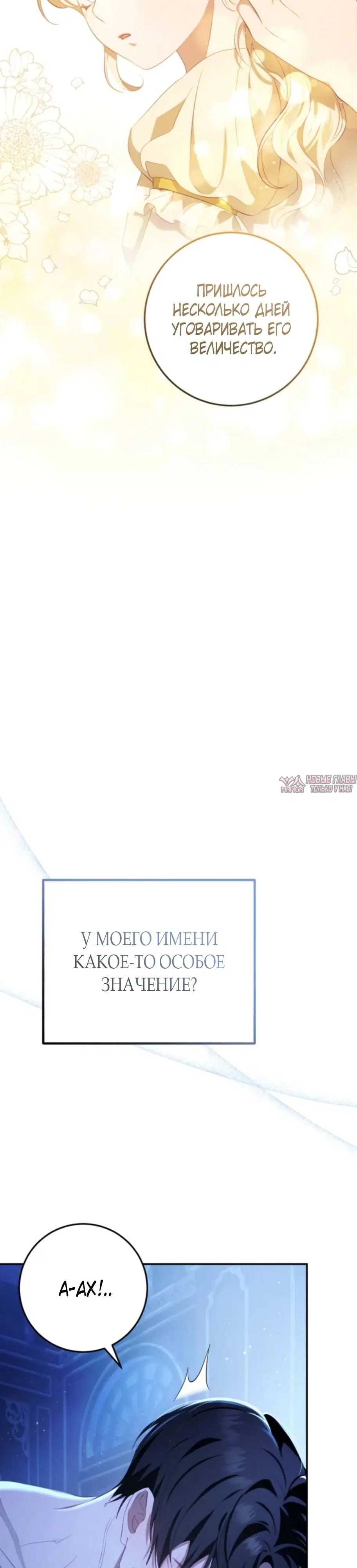 Page 33.000
