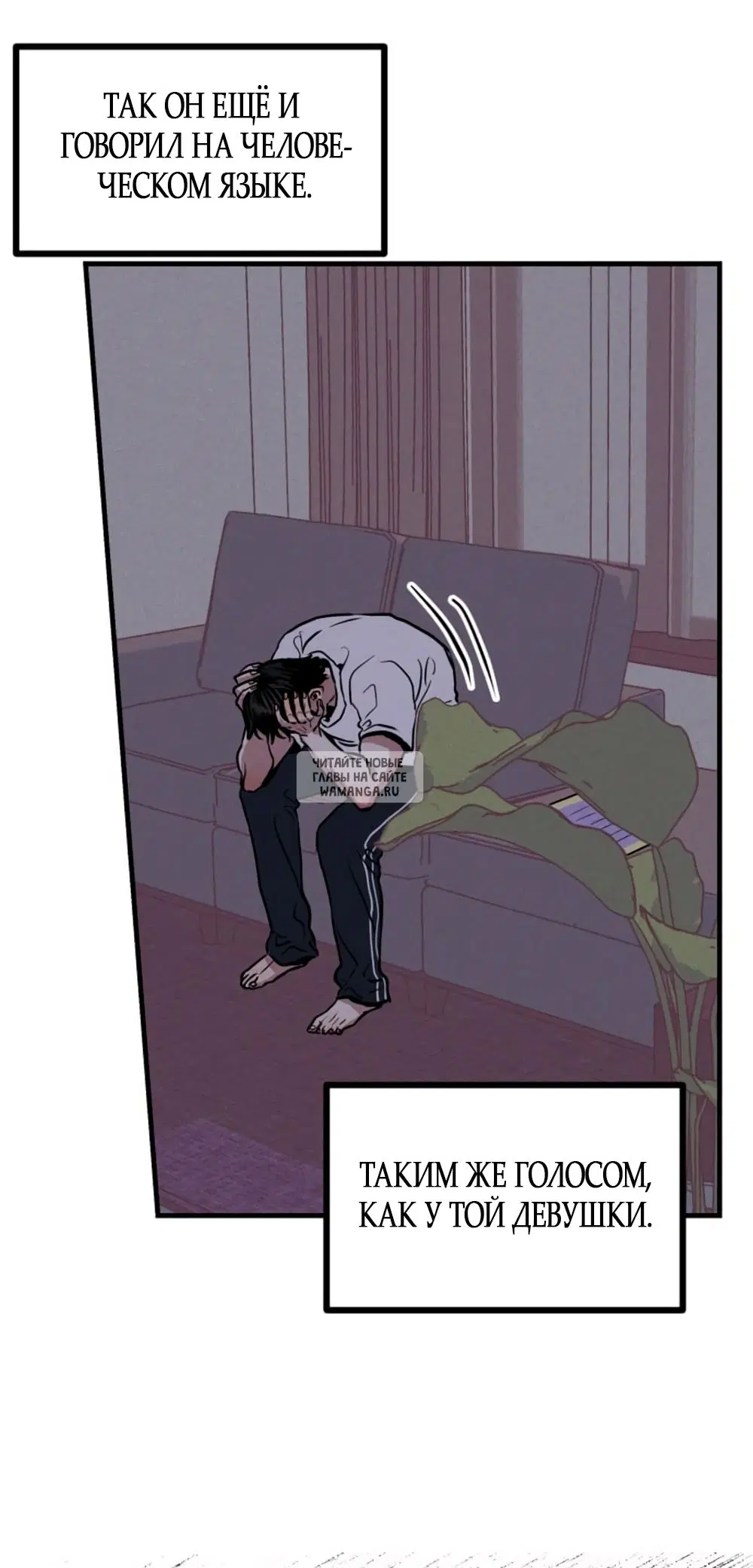 Page 55.000