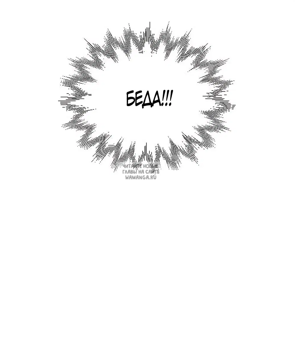Page 51.000