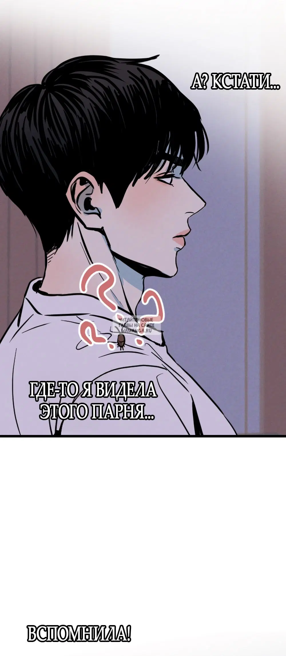 Page 81.000