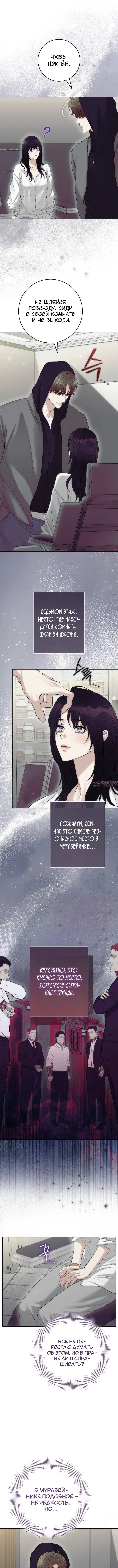 «Муравейник», глава 18, страница 3.000000000