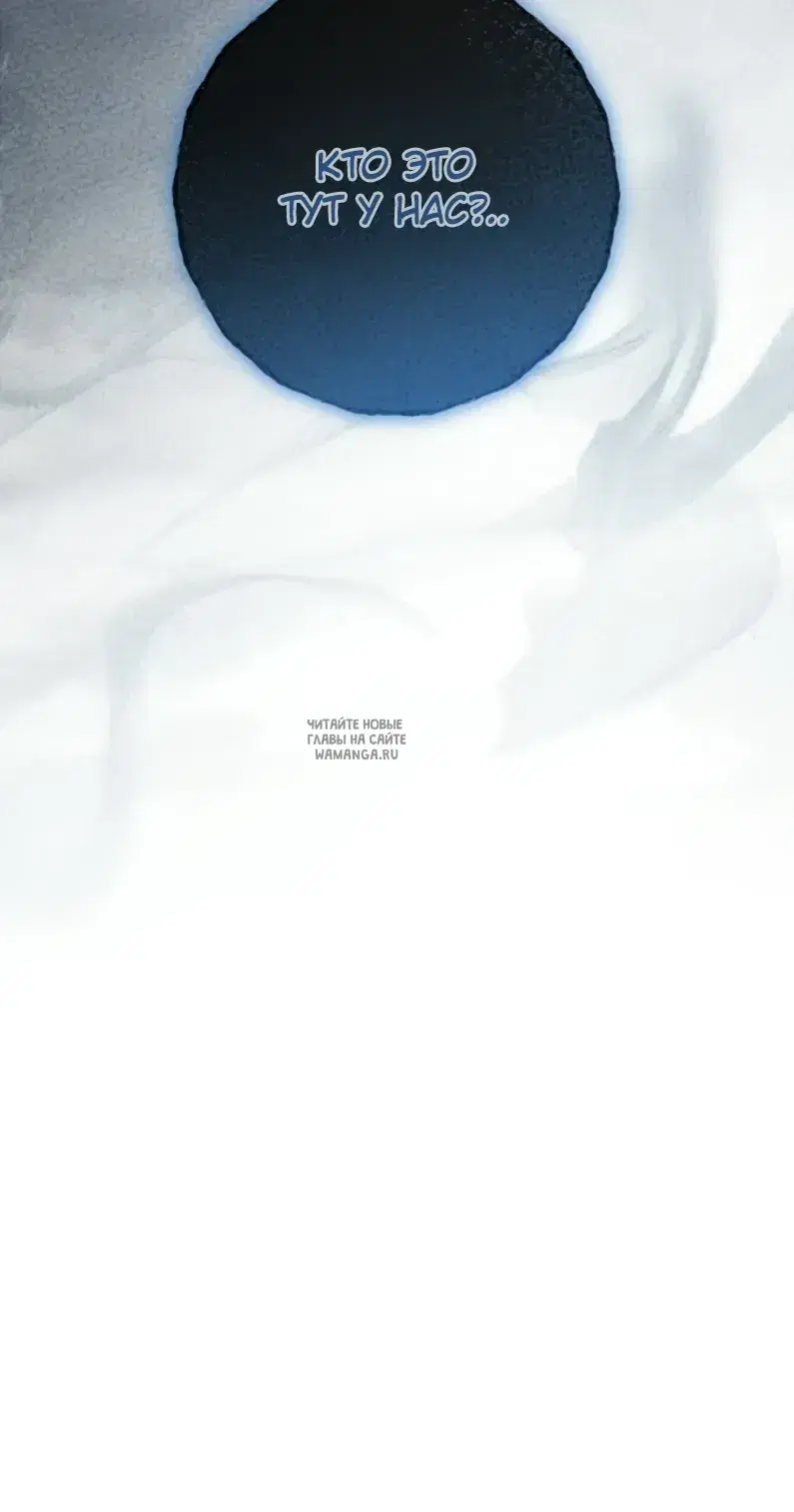 Page 51.000