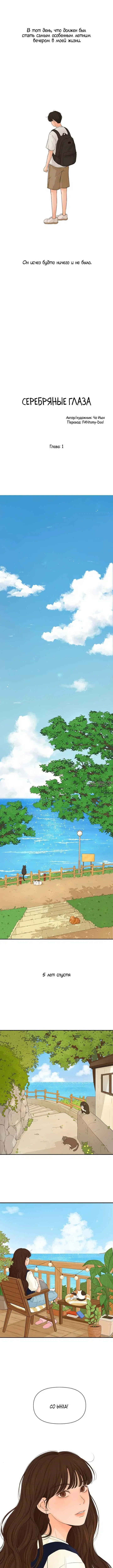 «Серебряные глаза сверкают», глава 1, страница 2.000000000