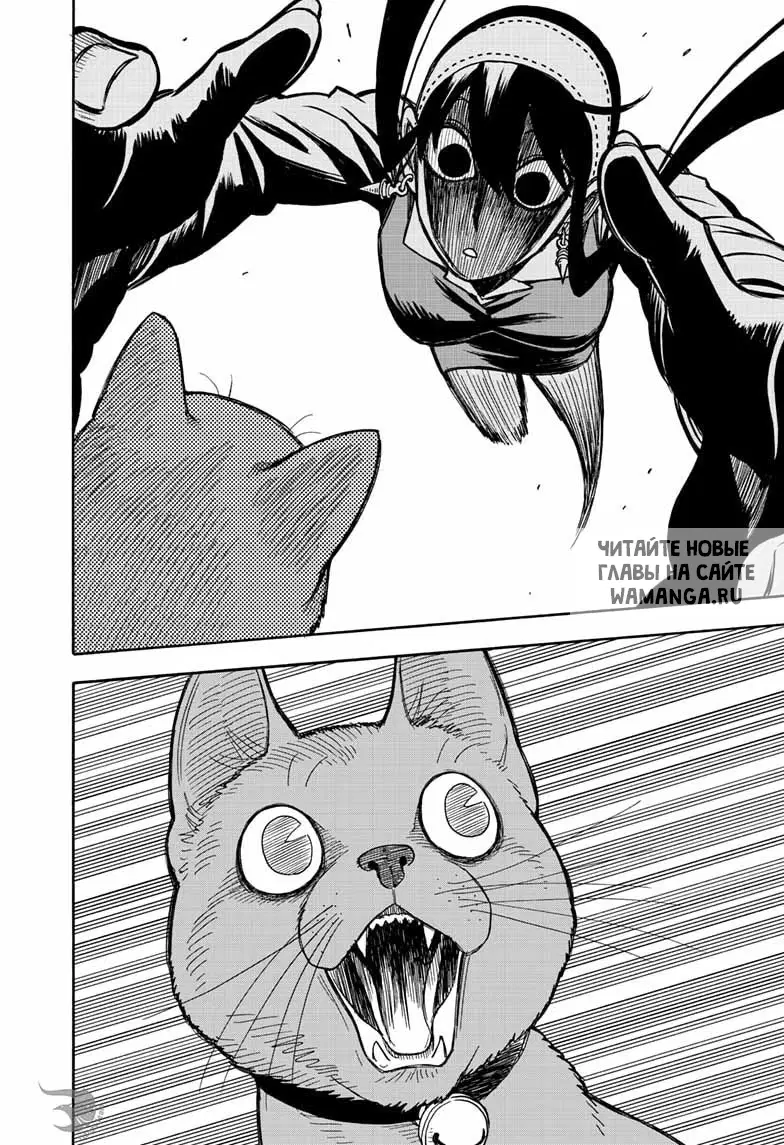 Page 16.000