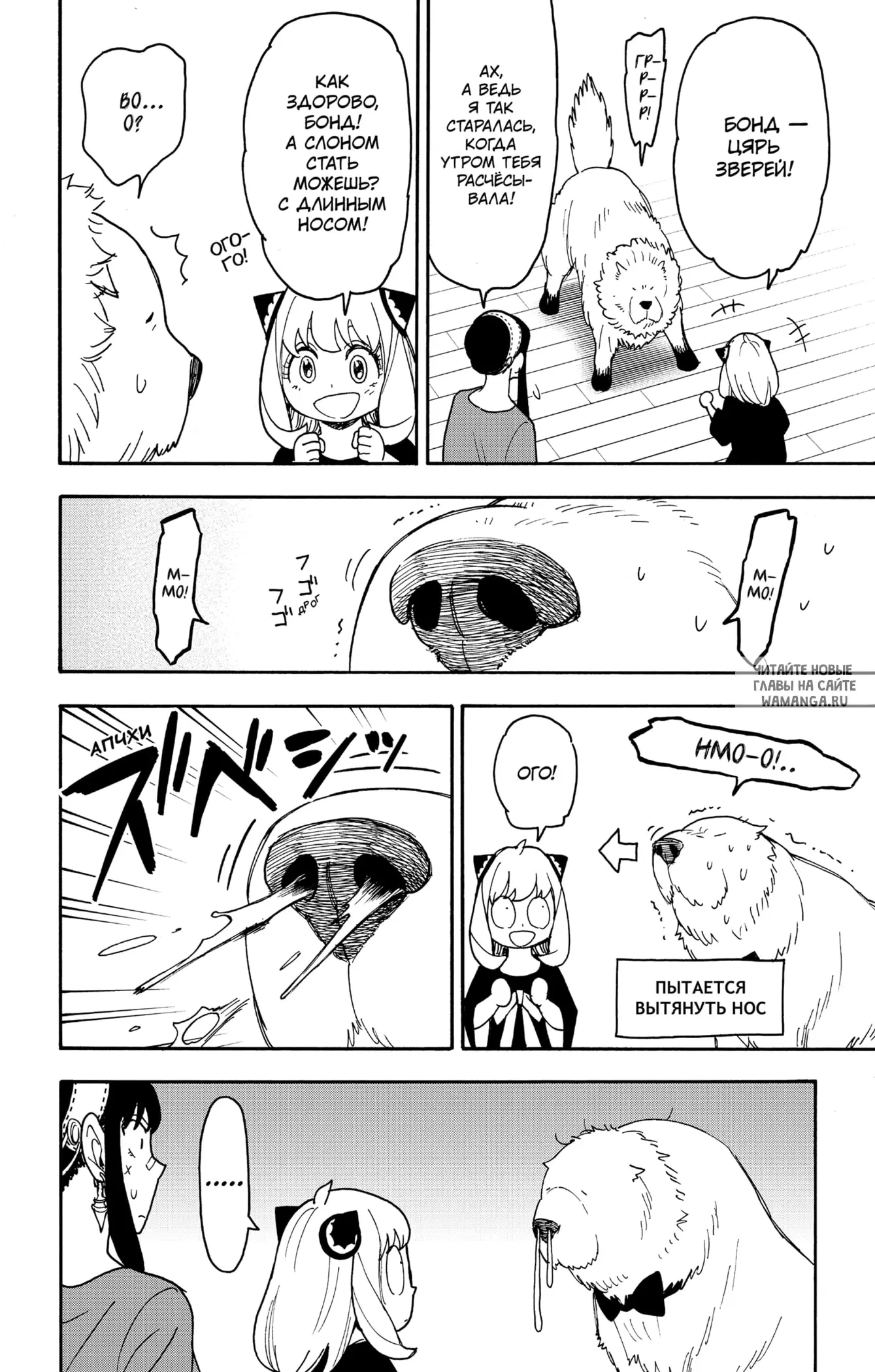 Page 10.000