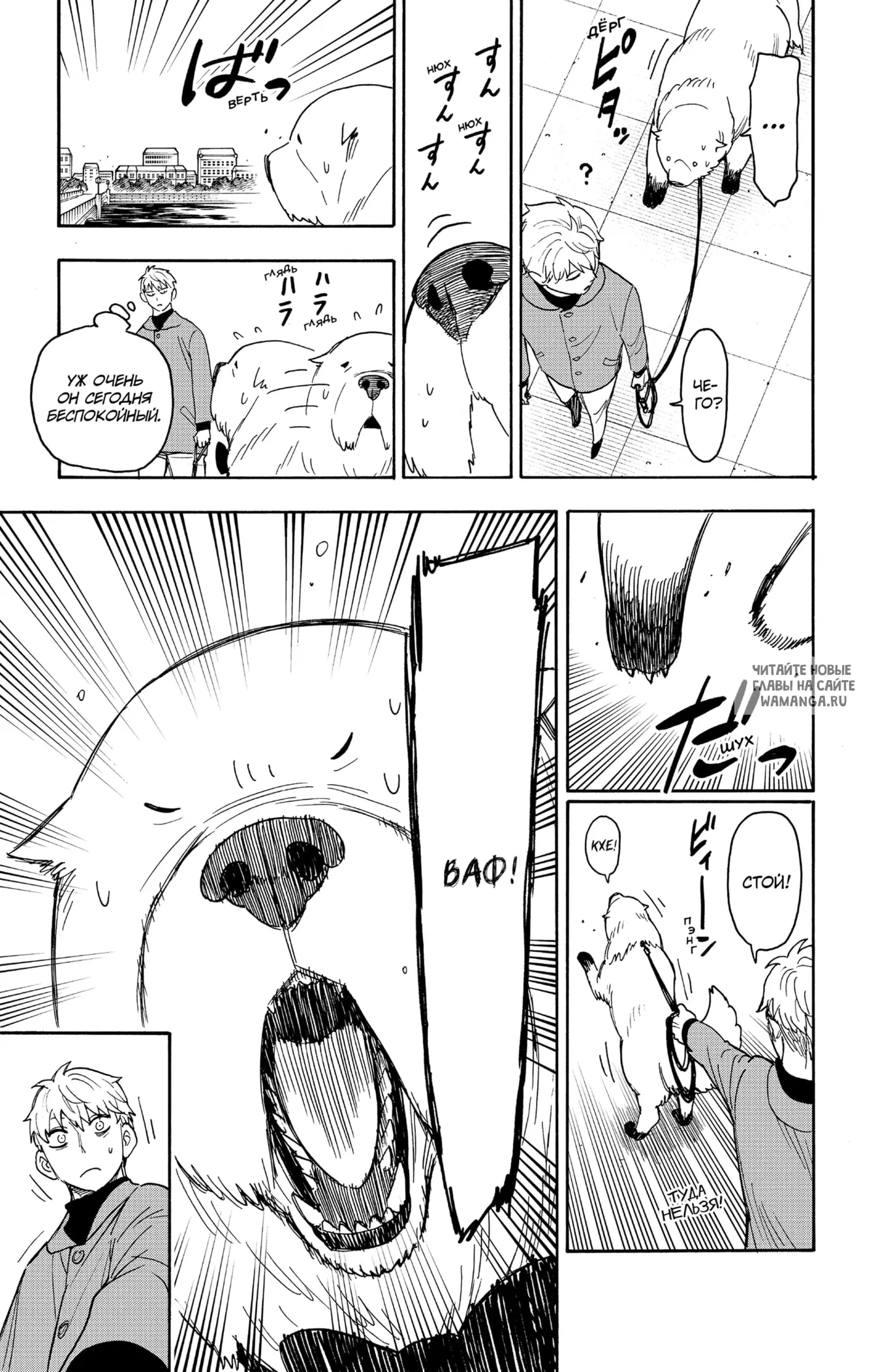 Page 13.000