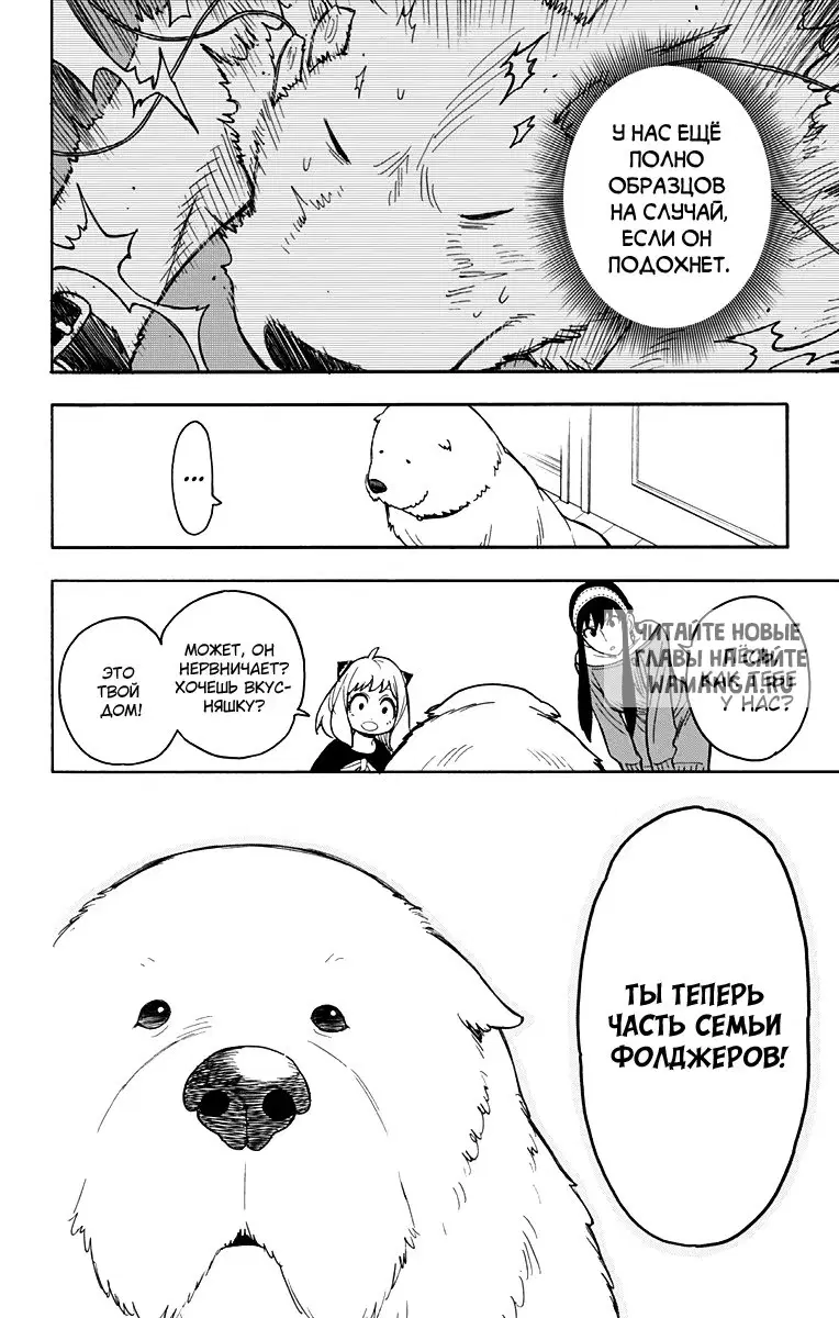 Page 26.000