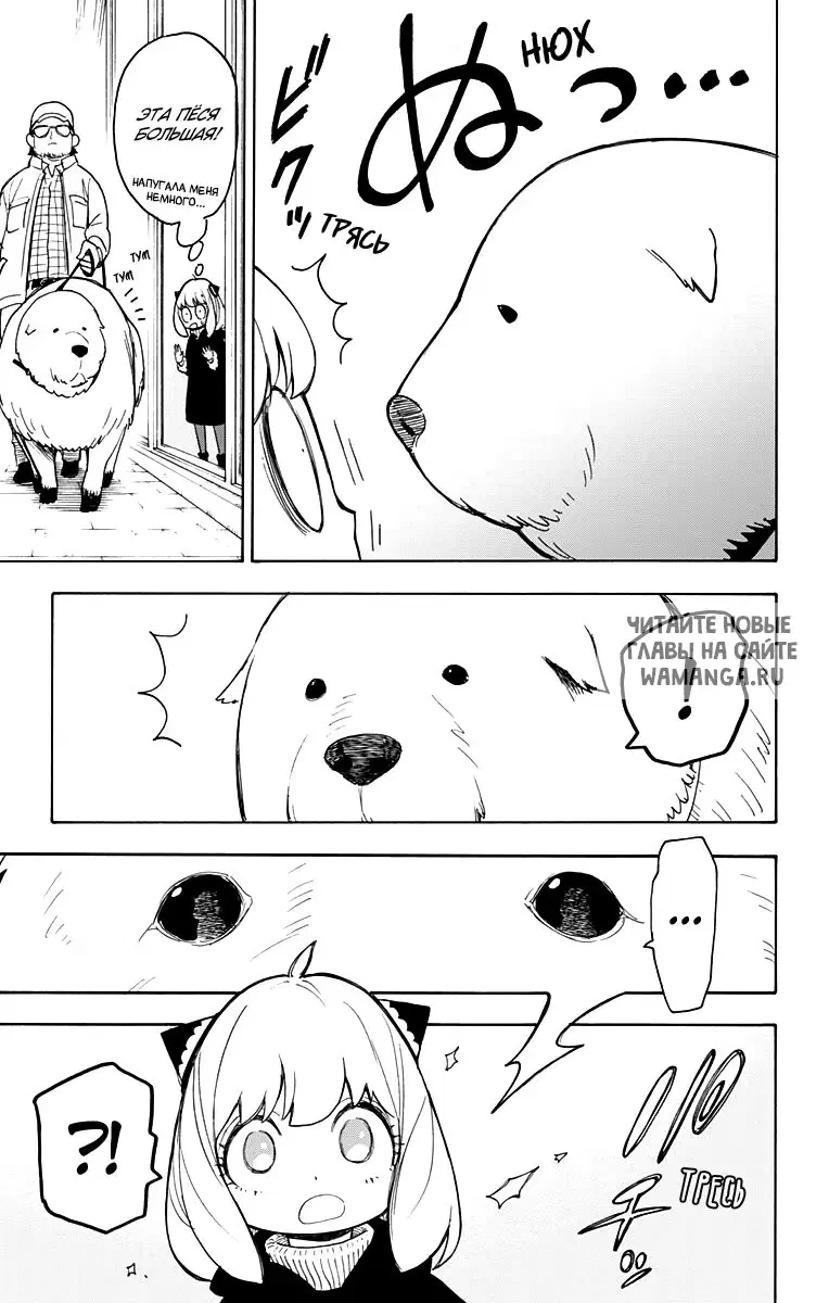 Page 21.000