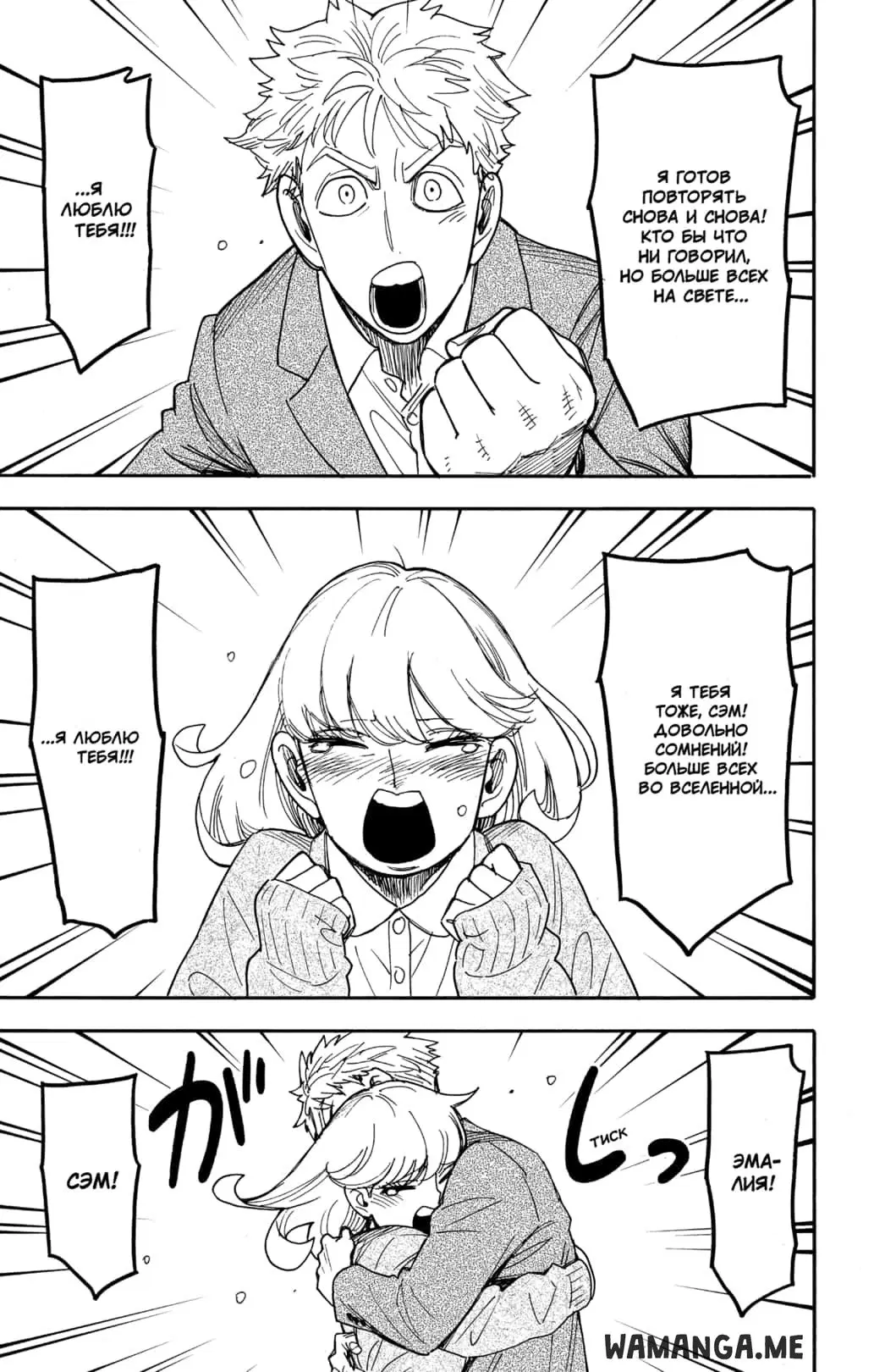 Page 3.000
