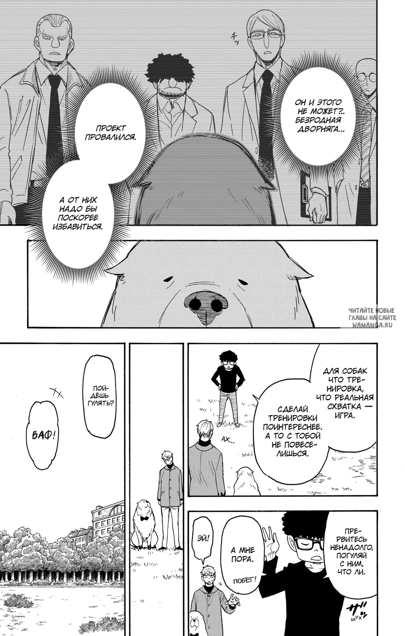 Page 5.000