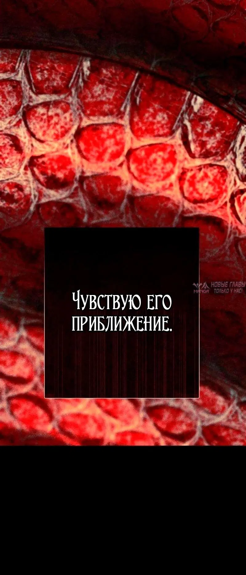 Page 11.000000000