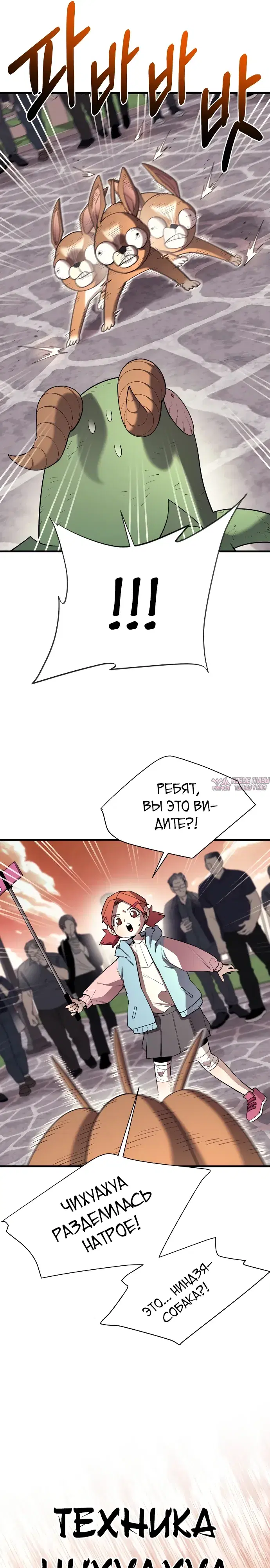 Page 11.000000000