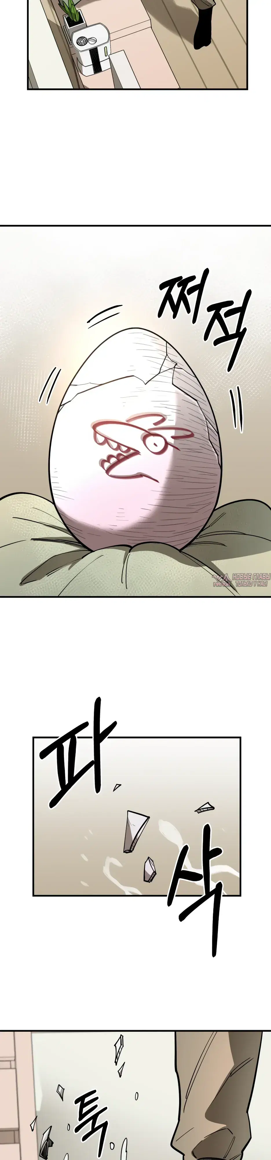 Page 43.000000000