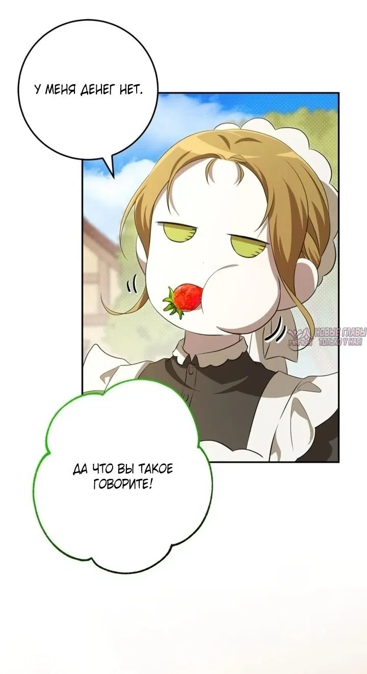 Page 25.000