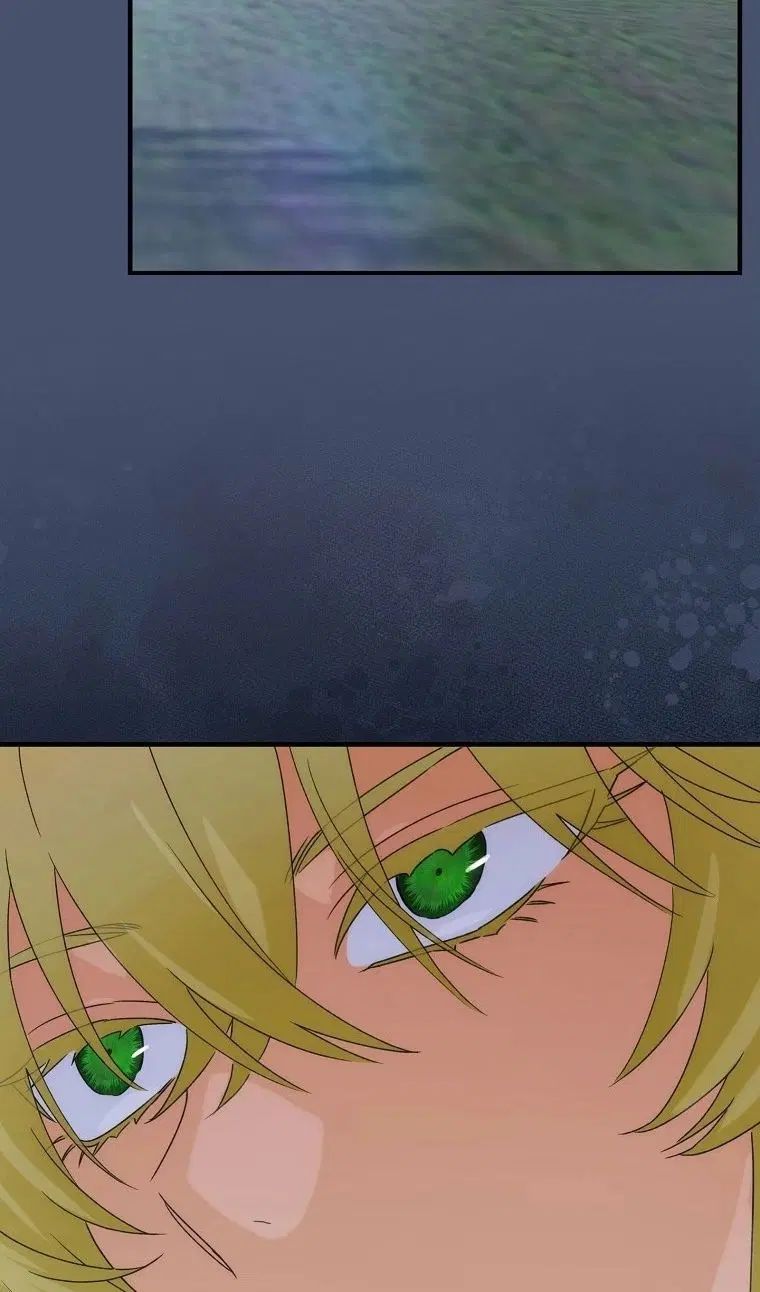 Page 50.000