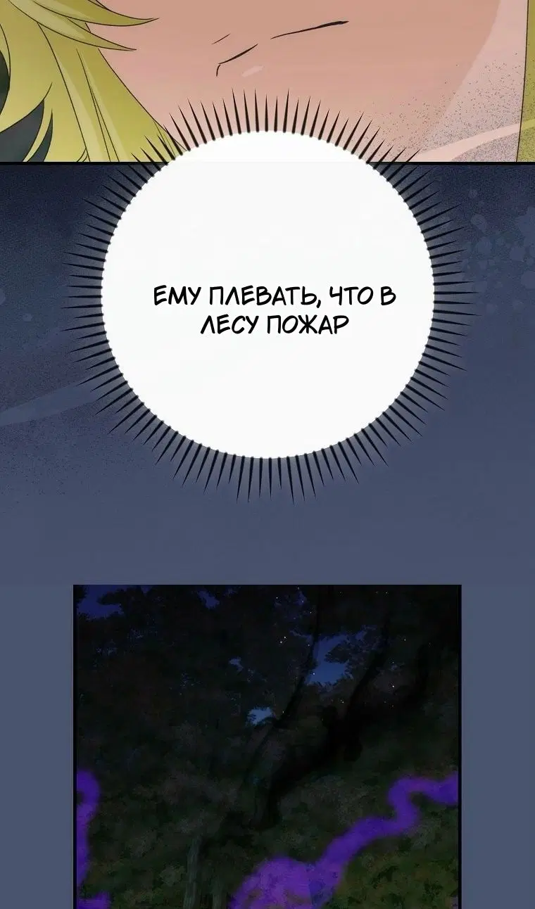 Page 51.000