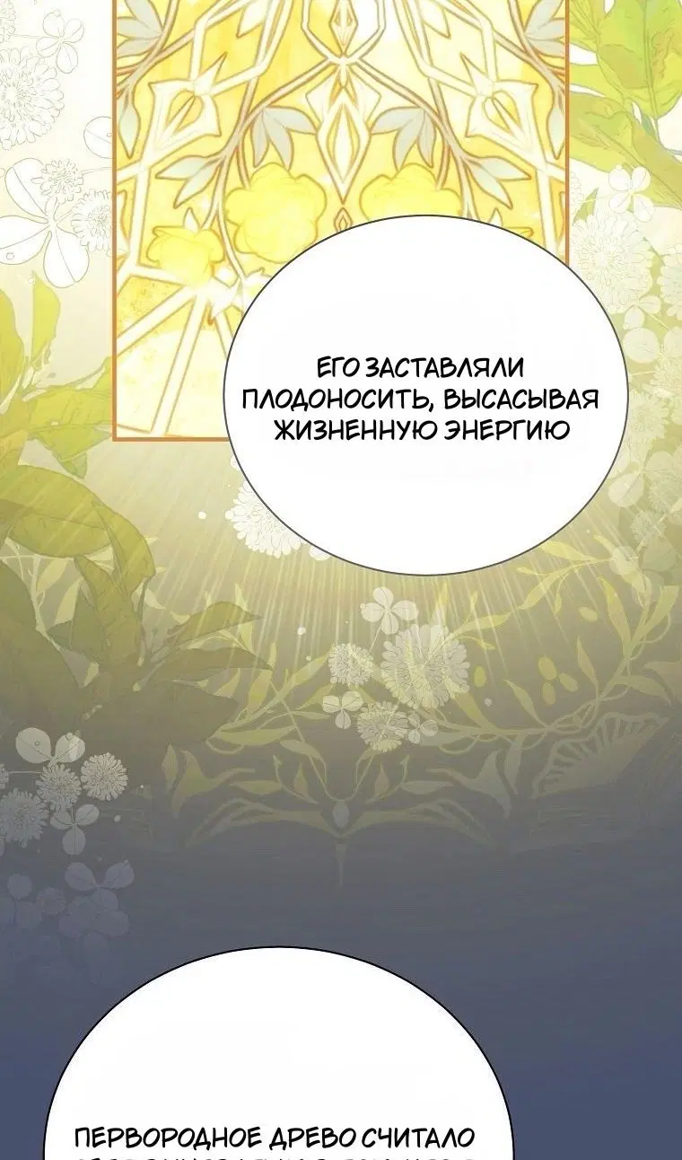 Page 63.000