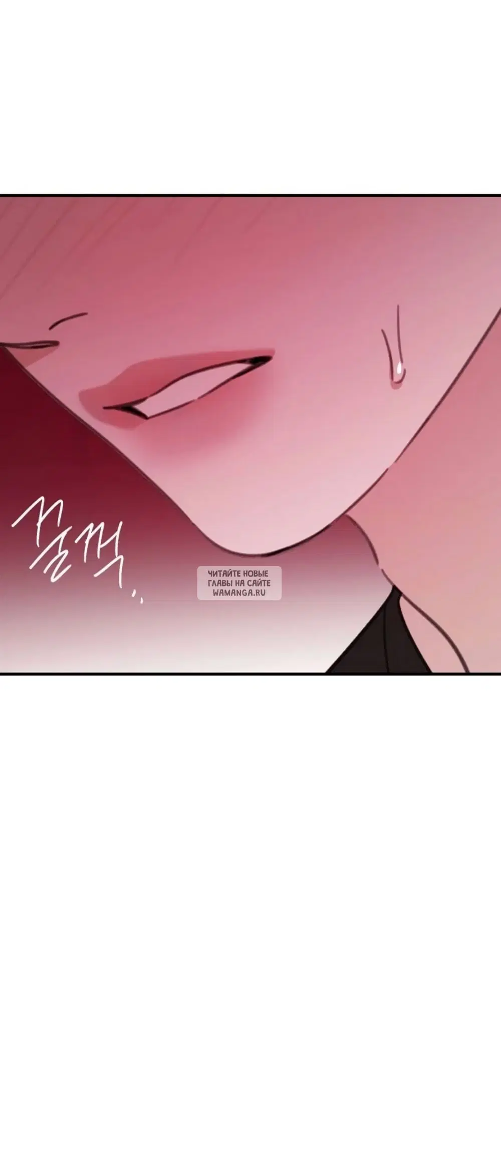 Page 40.000