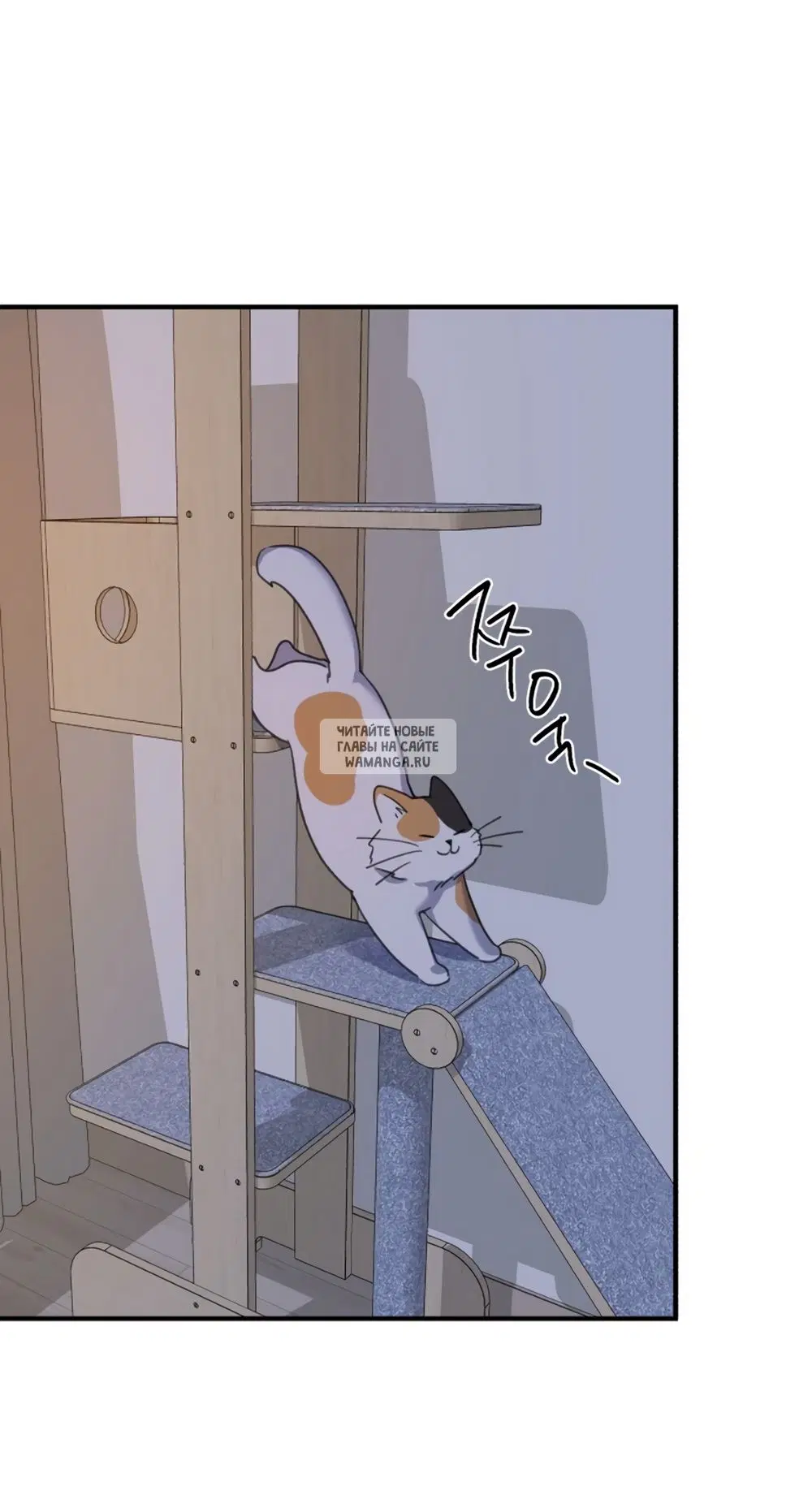 Page 56.000