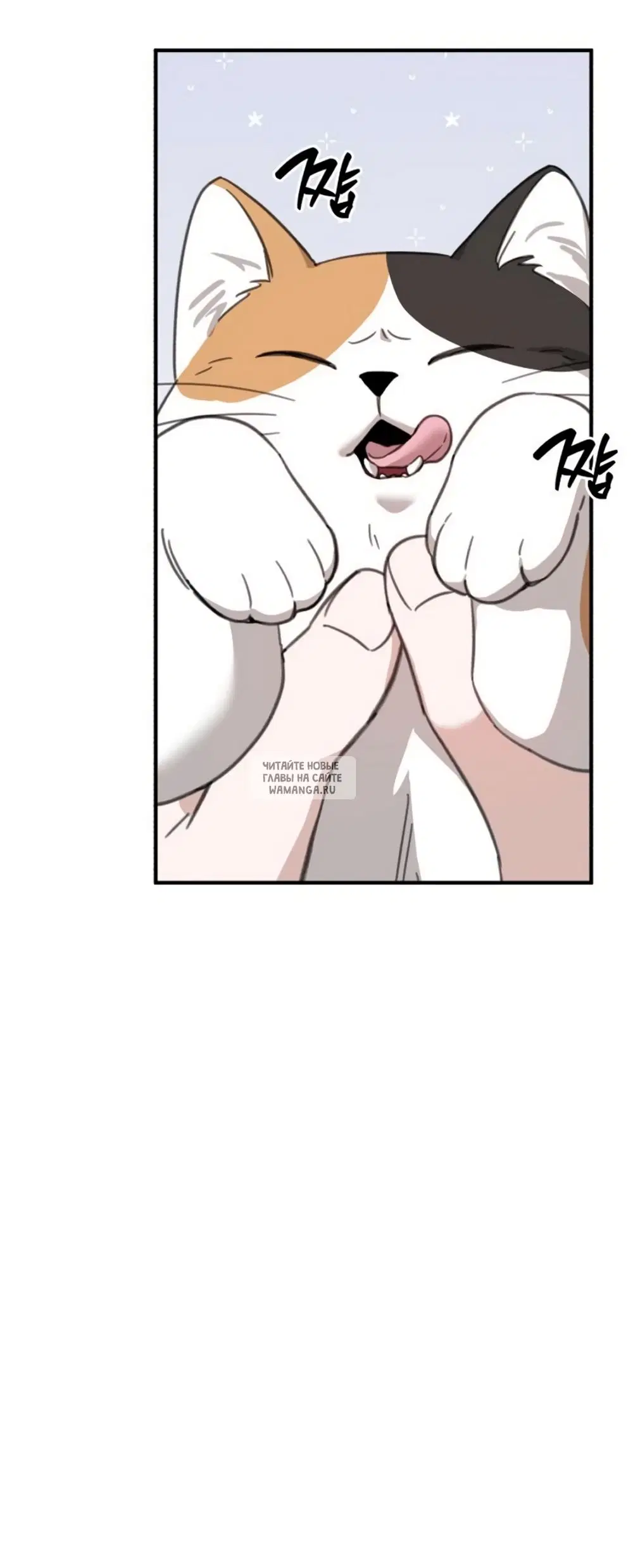 Page 52.000