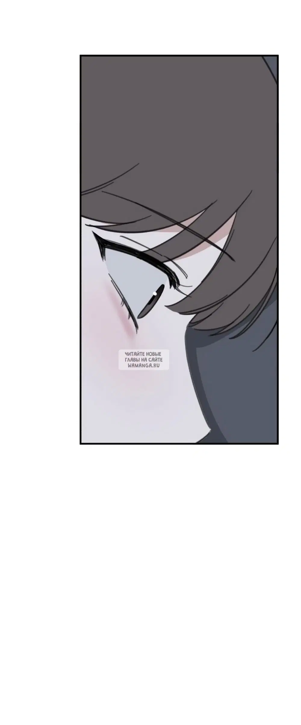 Page 53.000