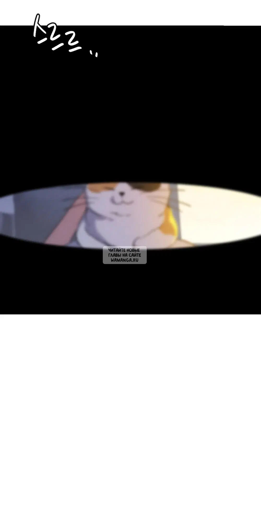 Page 61.000