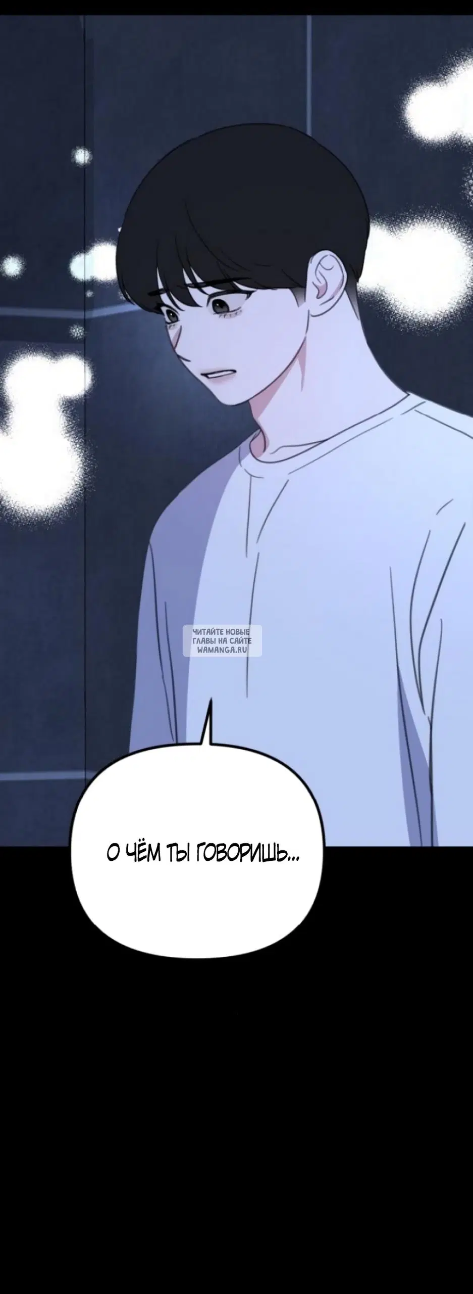 Page 81.000