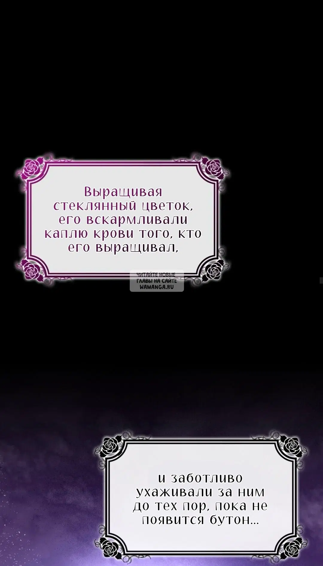 Page 36.000