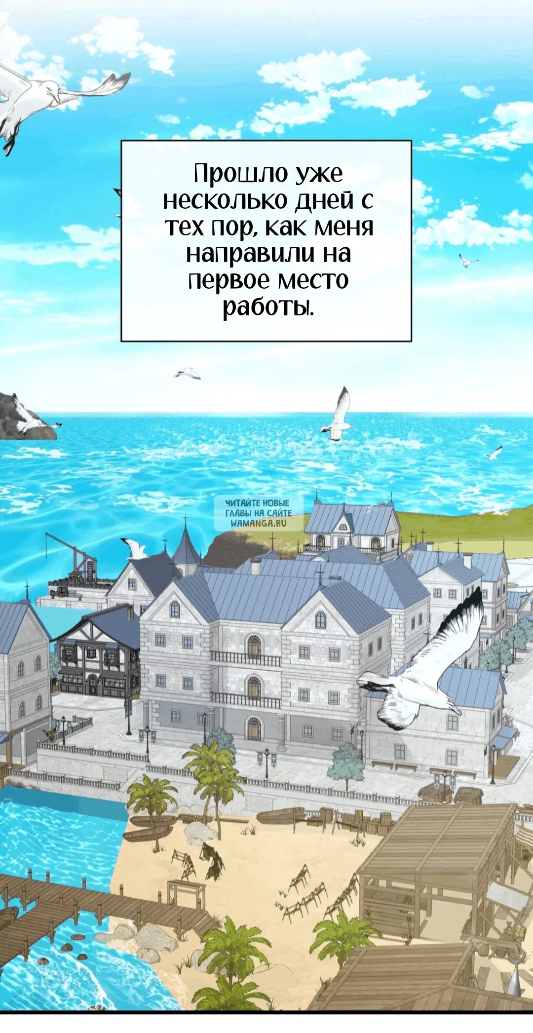 Page 50.000