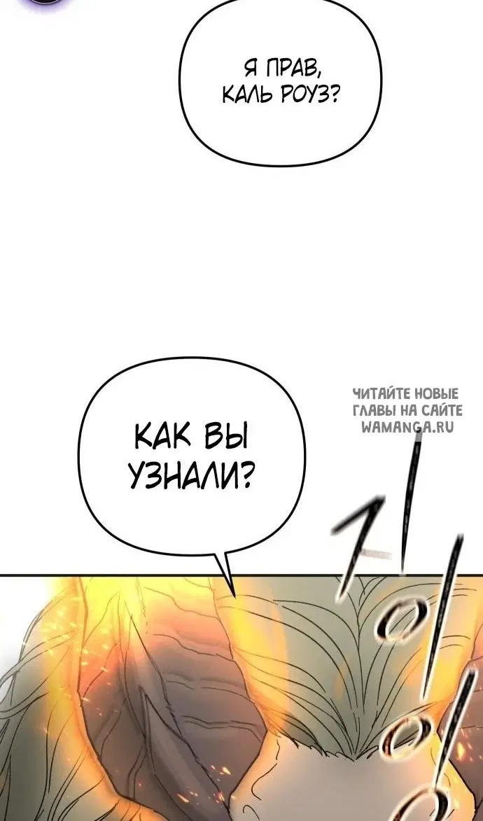 Page 53.000