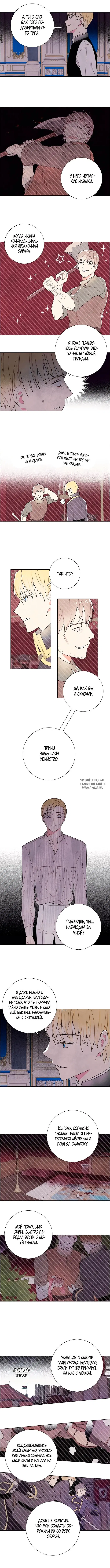 Page 3.000