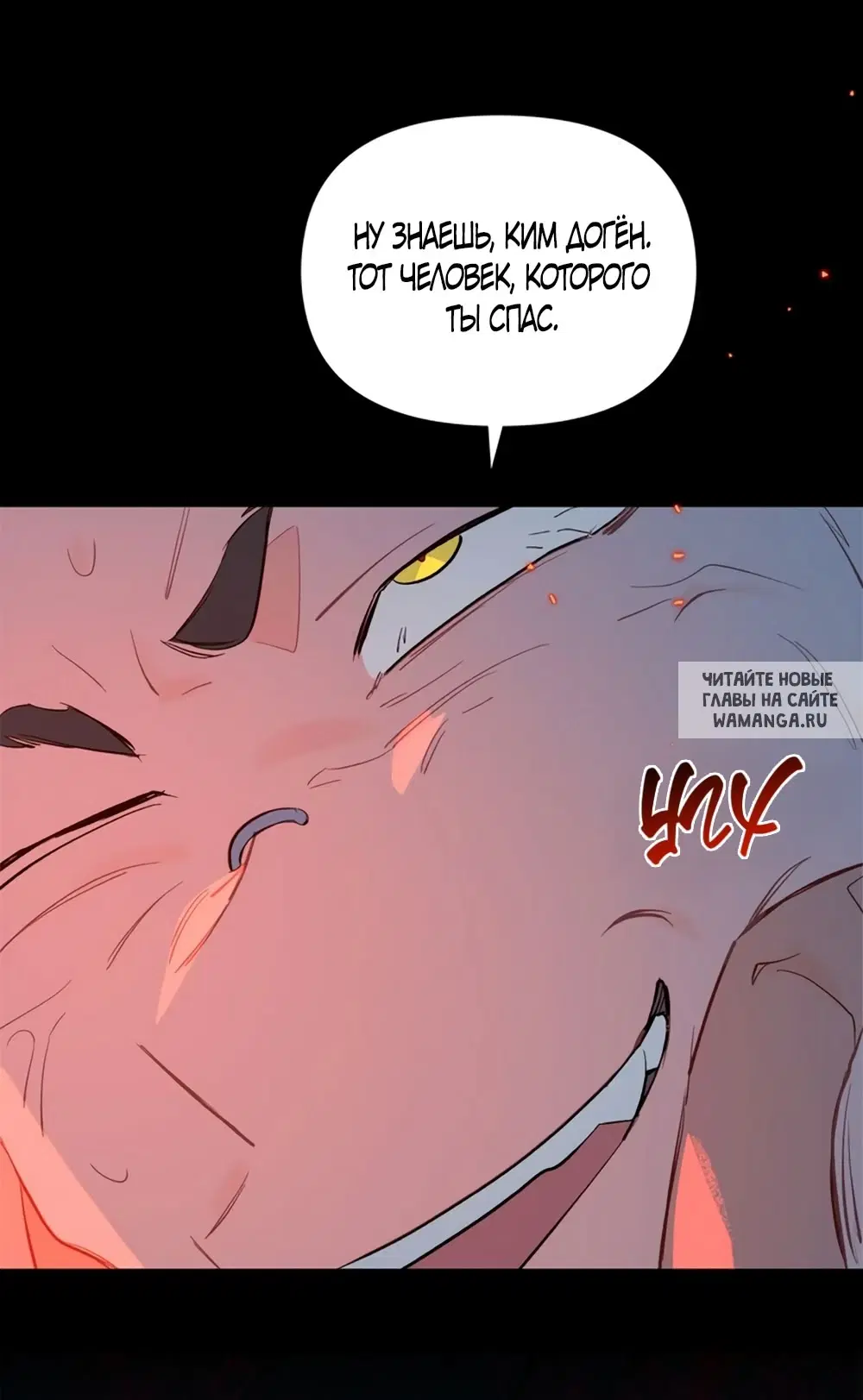 Page 50.000