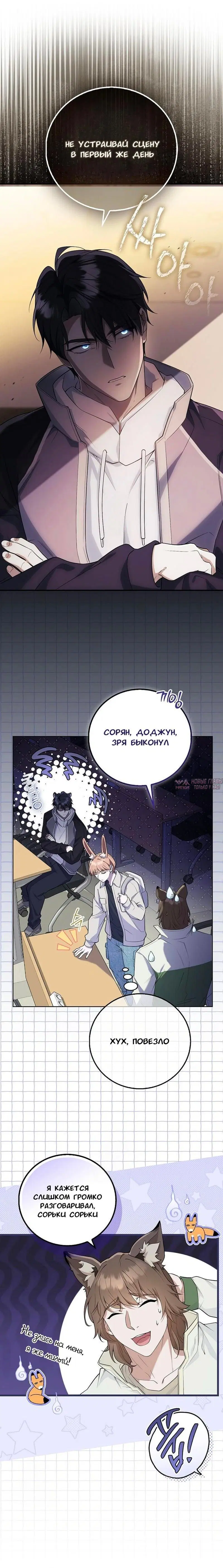 Page 5.001